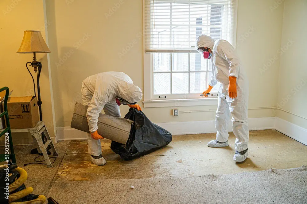 Asbestos Removal Edmonton